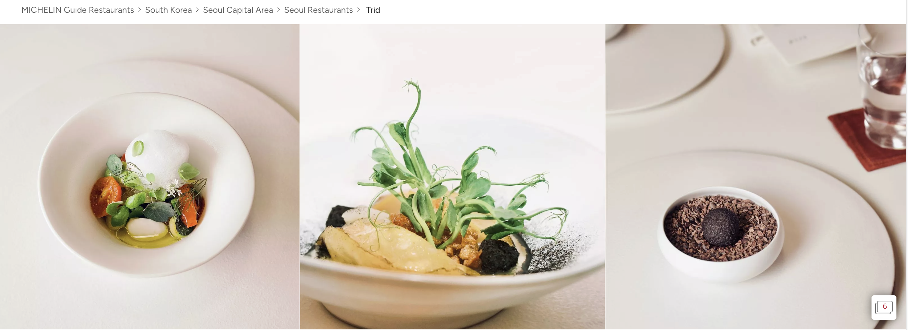 TRID Seoul Michelin and food image strip