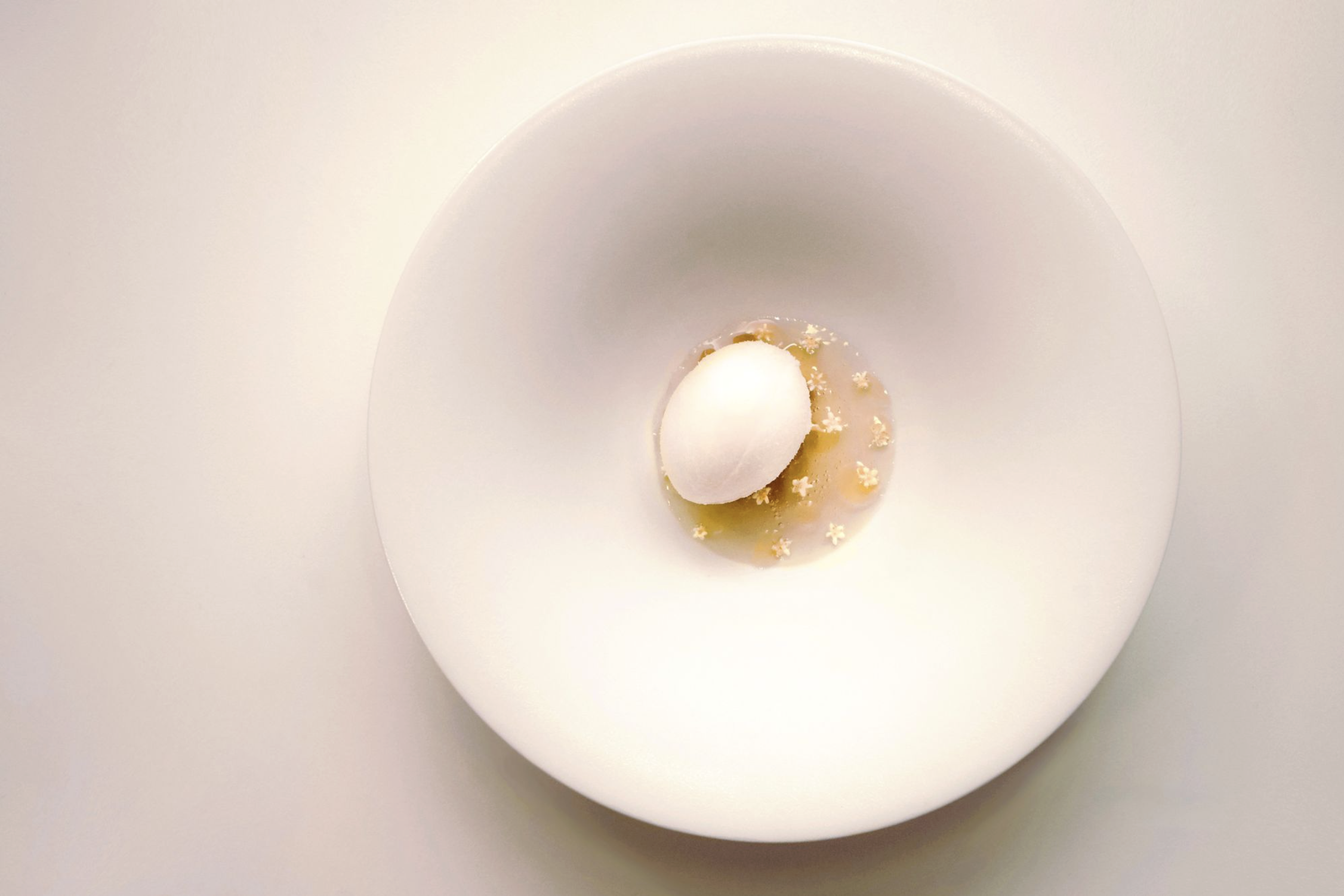 TRID Seoul plated dish photograph